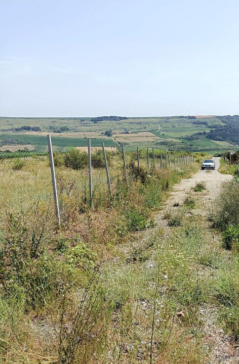 Teren extravilan Cluj, 1100 mp, apa si curent la limita proprietatii