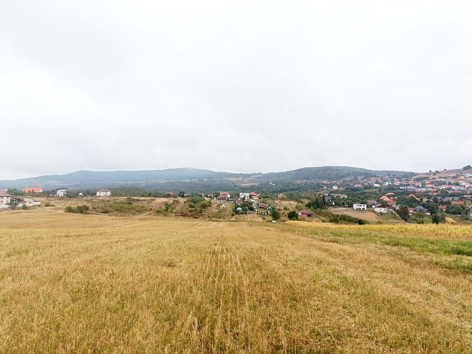 Teren 1000 mp in Salicea cu certificat de urbanism pentru casa individuala