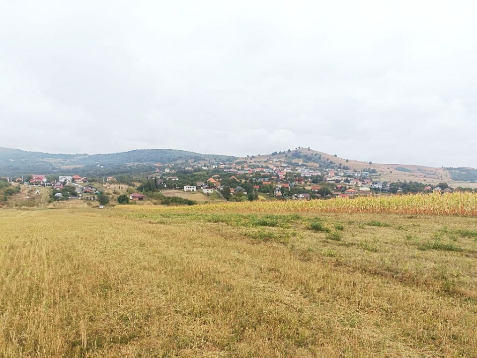 Teren 1000 mp in Salicea cu certificat de urbanism pentru casa individuala