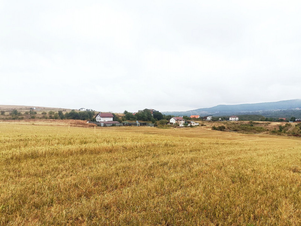 Teren 1000 mp in Salicea cu certificat de urbanism pentru casa individuala