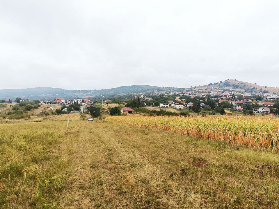 Teren 1000 mp in Salicea cu certificat de urbanism pentru casa individuala