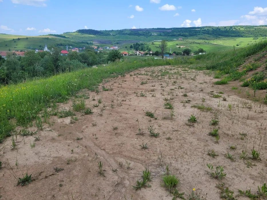 Teren cu autorizatie de constructie in Corusu, 1010 mp, panorama superba