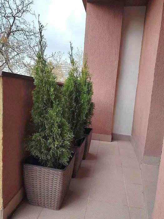 Apartament 1 camere zona Iulius Mall- FSEGA, ideal investitie