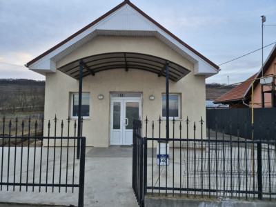 Casa formata din 2 apartamente in Jucu, spatiu comercial in acte