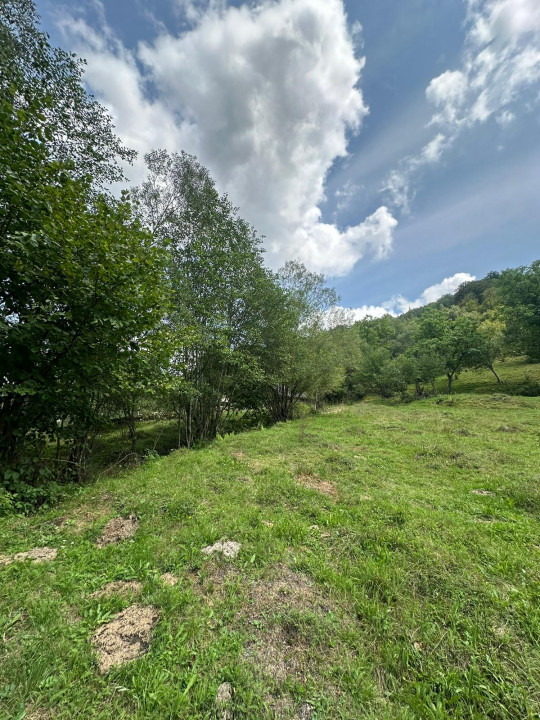 Teren 2 hectare pe Valea Ariesului, zona Scarita-Belioara