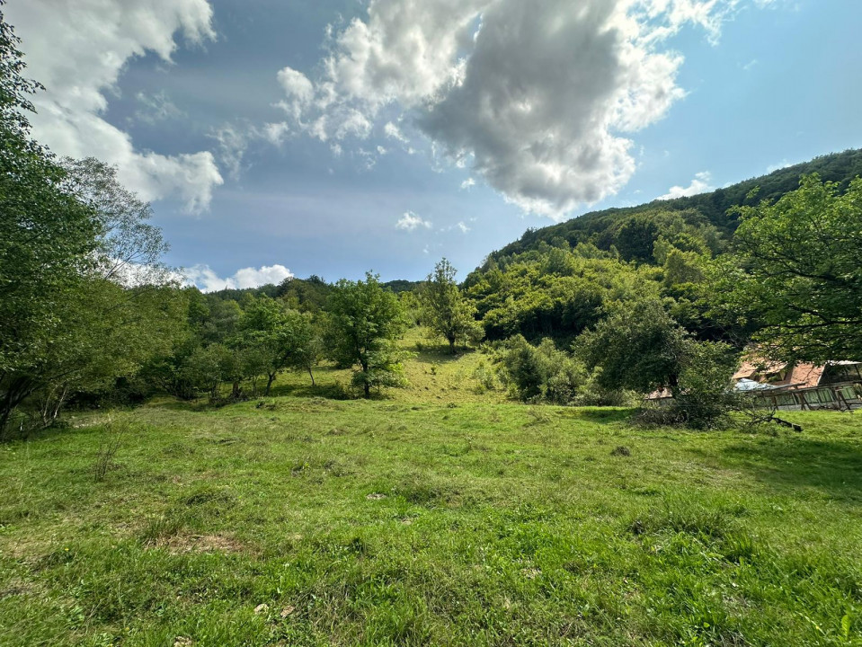 Teren 2 hectare pe Valea Ariesului, zona Scarita-Belioara