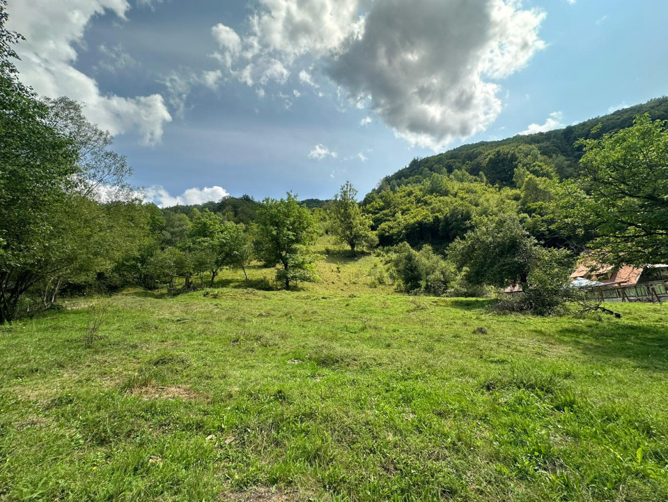 Teren 2 hectare pe Valea Ariesului, zona Scarita-Belioara