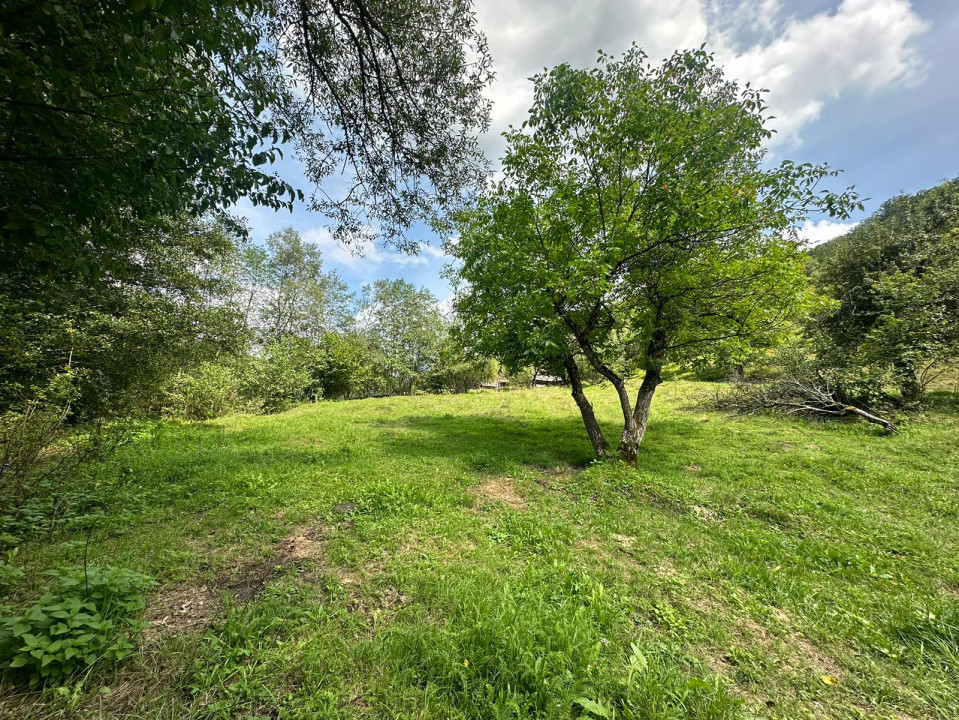 Teren 2 hectare pe Valea Ariesului, zona Scarita-Belioara