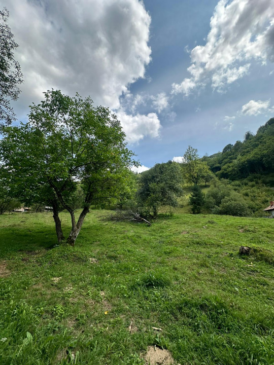 Teren 2 hectare pe Valea Ariesului, zona Scarita-Belioara