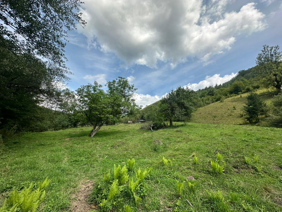 Teren 2 hectare pe Valea Ariesului, zona Scarita-Belioara