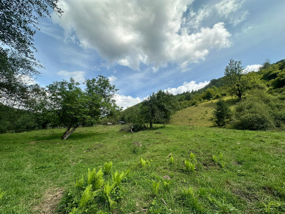 Teren 2 hectare pe Valea Ariesului, zona Scarita-Belioara