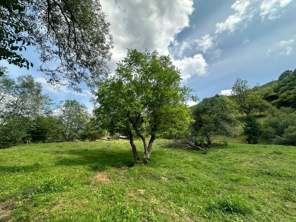 Teren 2 hectare pe Valea Ariesului, zona Scarita-Belioara