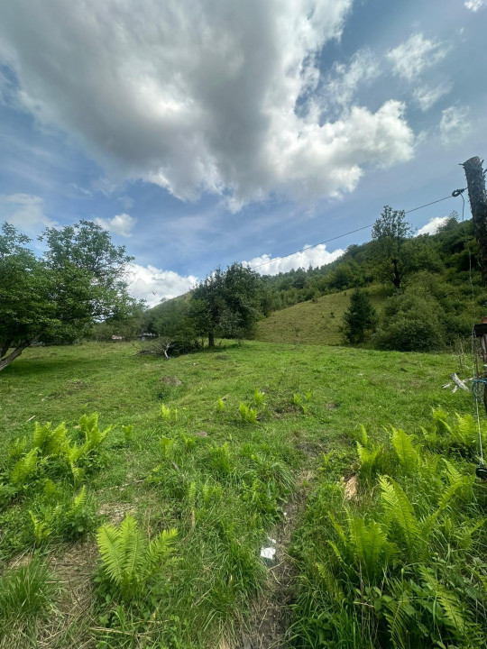 Teren 2 hectare pe Valea Ariesului, zona Scarita-Belioara