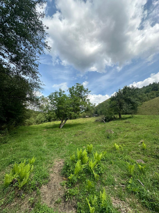 Teren 2 hectare pe Valea Ariesului, zona Scarita-Belioara