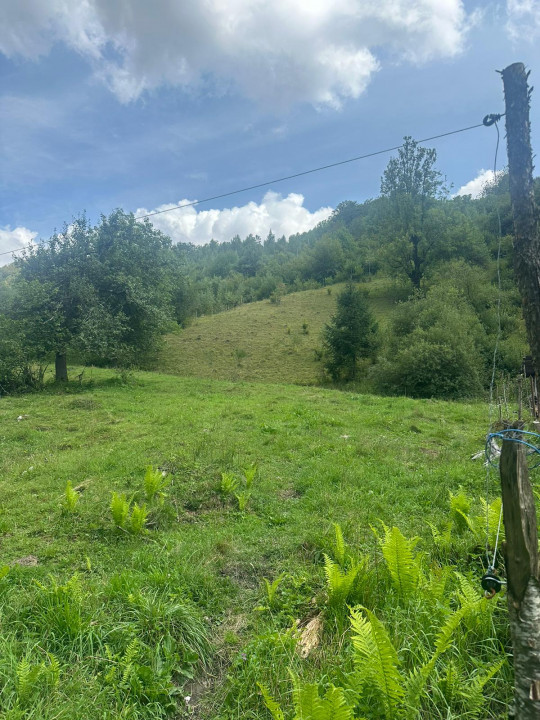 Teren 2 hectare pe Valea Ariesului, zona Scarita-Belioara