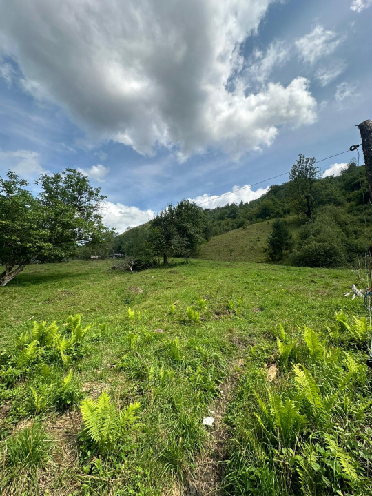 Teren 2 hectare pe Valea Ariesului, zona Scarita-Belioara