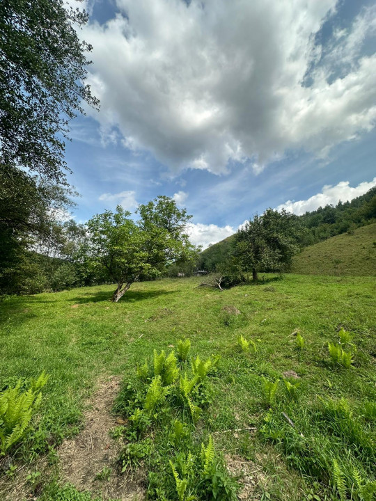 Teren 2 hectare pe Valea Ariesului, zona Scarita-Belioara