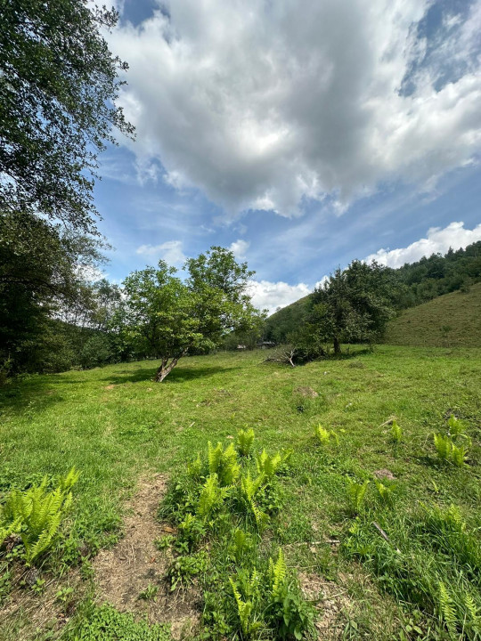 Teren 2 hectare pe Valea Ariesului, zona Scarita-Belioara