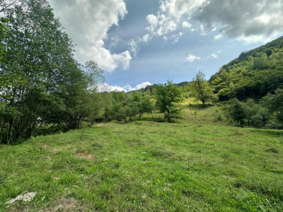 Teren 2 hectare pe Valea Ariesului, zona Scarita-Belioara