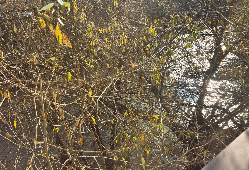 Apartament 2 Camere la casa, zona Piata Mihai Viteazul, 57 mp, renovat recent