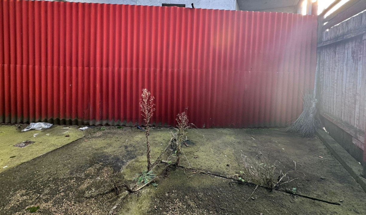 Investitie in zona Centrala, 38 mp cu pod si curte, Parcul Feroviarilor