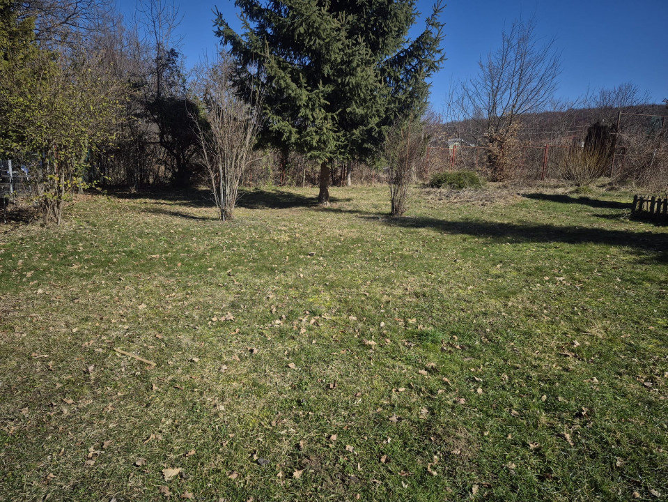 Oportunitate in Faget! Teren 1290 mp, front 28 ml, PUZ aprobat