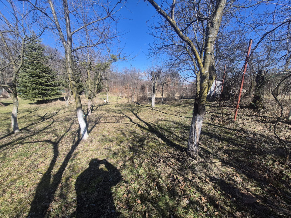 Oportunitate in Faget! Teren 1290 mp, front 28 ml, PUZ aprobat