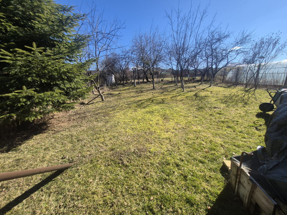 Oportunitate in Faget! Teren 1290 mp, front 28 ml, PUZ aprobat