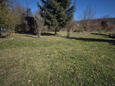 Oportunitate in Faget! Teren 1290 mp, front 28 ml, PUZ aprobat