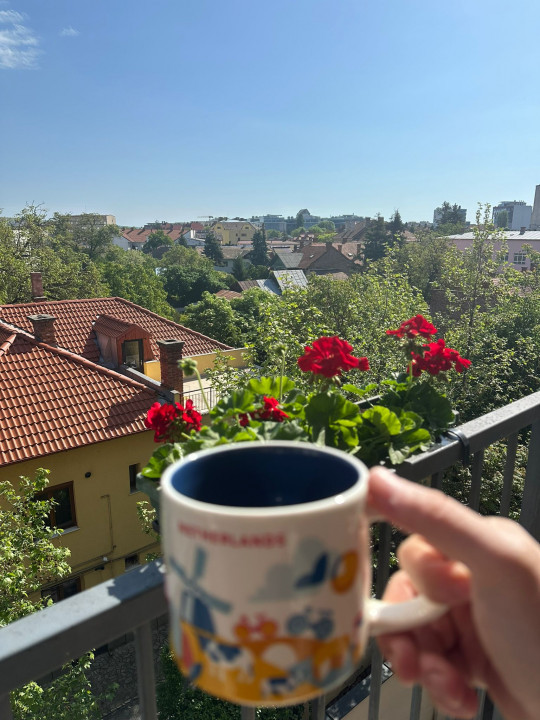 Apartament Ideal pentru zona Corporate în Platinia-str. Constanța