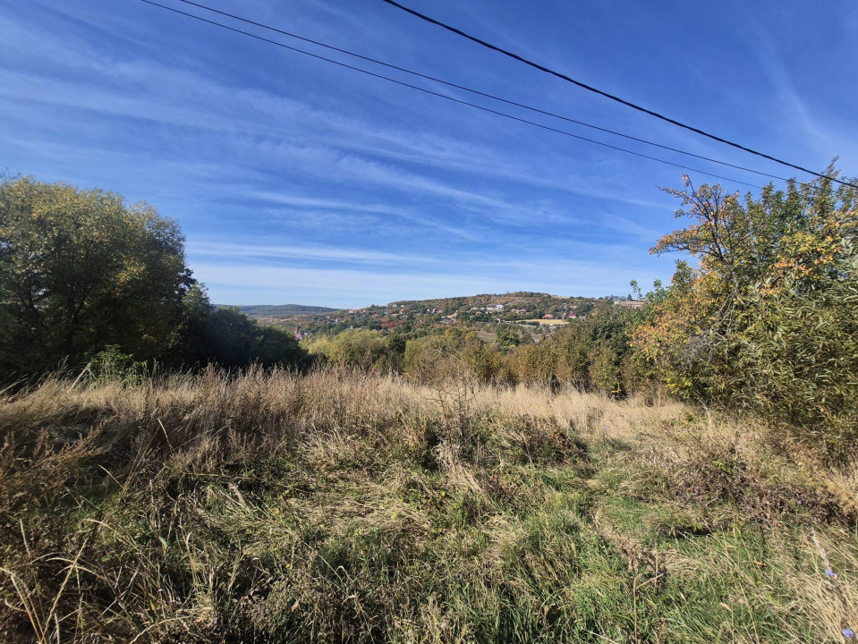 Oportunitate excelentă de dezvoltare rezidențială: 4420 mp  în Vâlcele