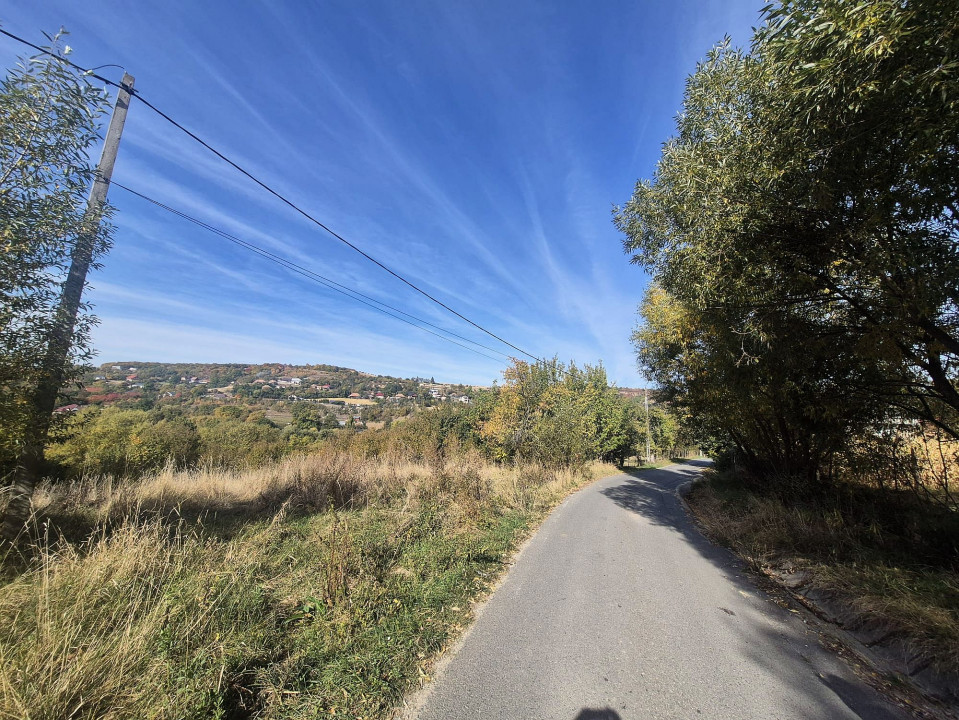 Oportunitate excelentă de dezvoltare rezidențială: 4420 mp  în Vâlcele
